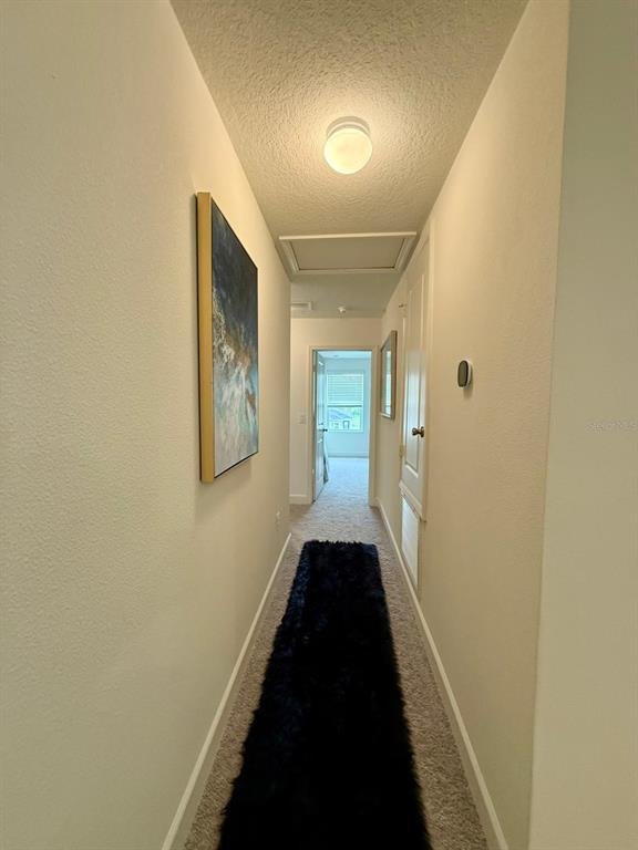 Photo 24 of the property at 16522 Brook Isle Way