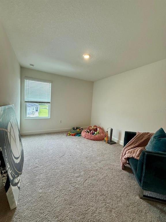 Photo 25 of the property at 16522 Brook Isle Way