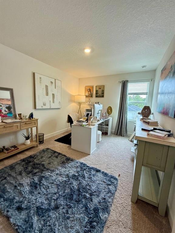 Photo 27 of the property at 16522 Brook Isle Way