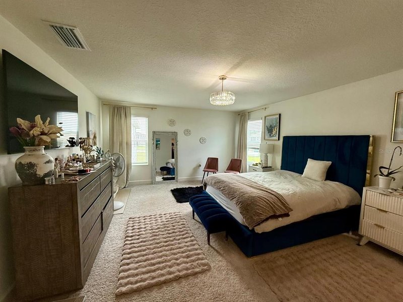 Photo 28 of the property at 16522 Brook Isle Way