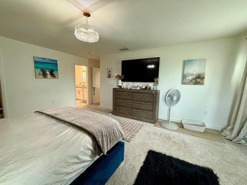 Photo 33 of the property at 16522 Brook Isle Way